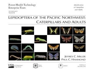 Lepidoptera of the Pacific Northwest: Caterpillars and Adults