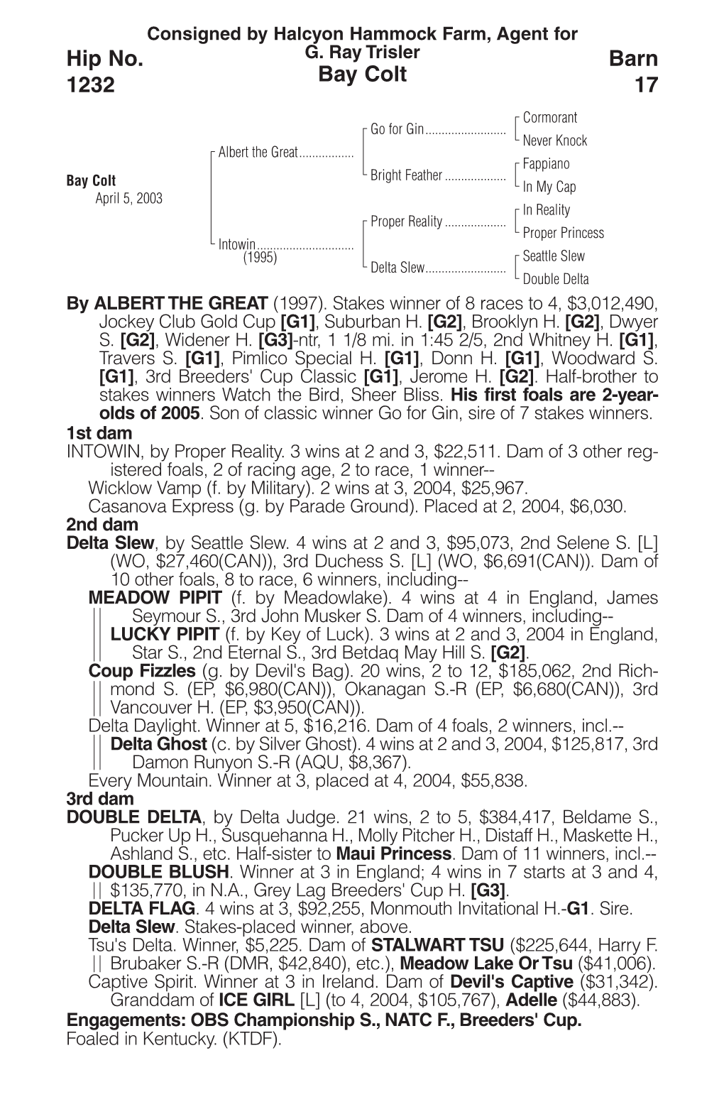 Bay Colt Barn 17 Hip No. 1232