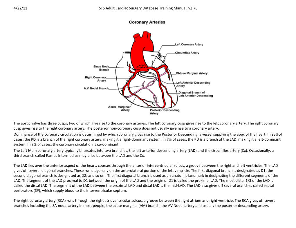 Coronary Anatomy