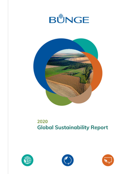 Global Sustainability Report 2020