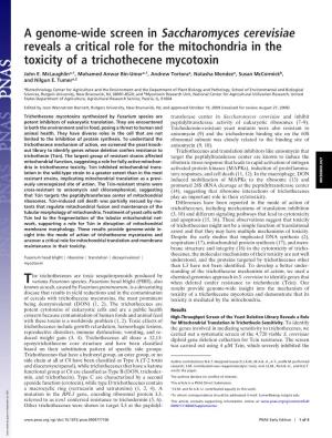 A Genome-Wide Screen in Saccharomyces Cerevisiae Reveals a Critical Role for the Mitochondria in the Toxicity of a Trichothecene Mycotoxin