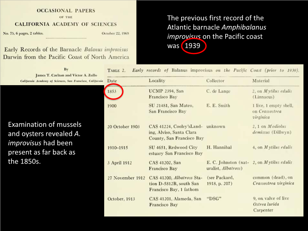 The Previous First Record of the Atlantic Barnacle Amphibalanus Improvisus on the Pacific Coast Was 1939