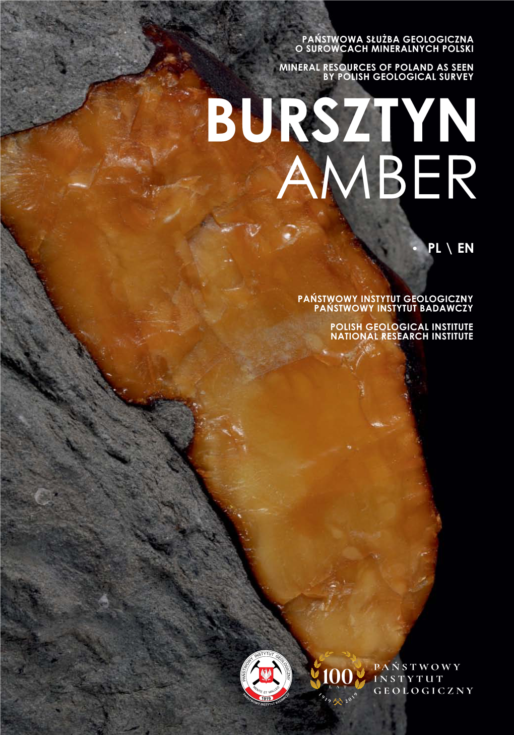 Folder Bursztyn / Amber (3.94 MB