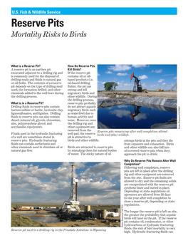 Reserve Pits Mortality Risks to Birds