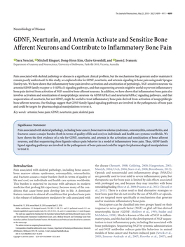 GDNF, Neurturin, and Artemin Activate and Sensitize Bone Afferent Neurons and Contribute to Inflammatory Bone Pain