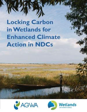Locking Carbon in Wetlands for Enhanced Climate Action in Ndcs Acknowledgments Authors: Nureen F