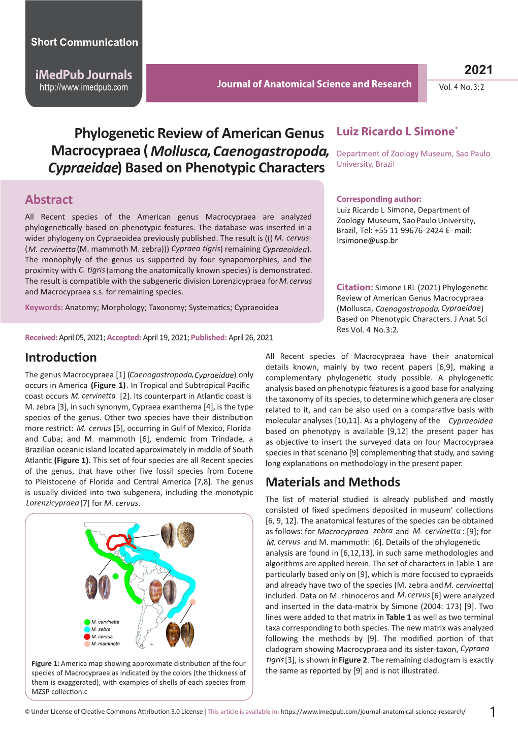 Phylogenetic Review of American Genus Macrocypraea(Mollusca, Caenogastropoda, Cypraeidae) Based on Phenotypic Characters