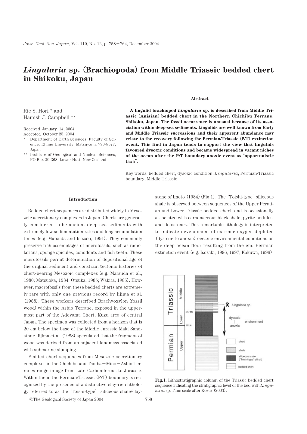 From Middle Triassic Bedded Chert in Shikoku, Japan