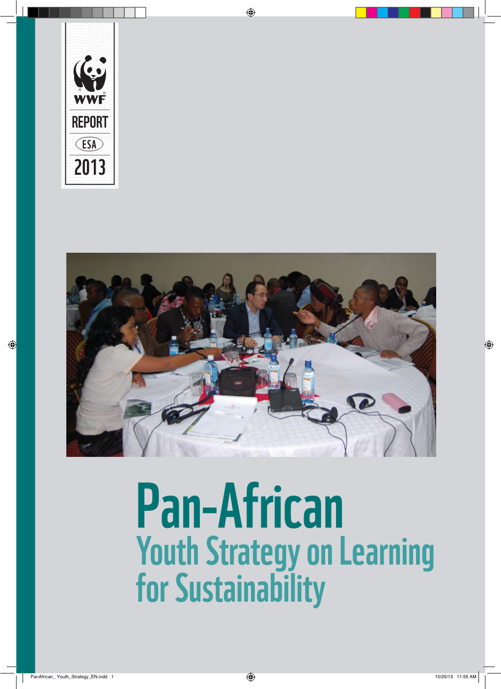 Pan-African Youth Strategy on Learning for Sustainability