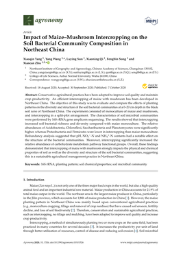 Impact of Maize–Mushroom Intercropping on the Soil Bacterial Community Composition in Northeast China