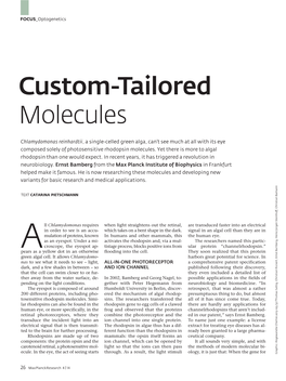 Custom-Tailored Molecules