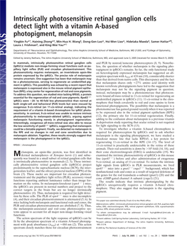 Intrinsically Photosensitive Retinal Ganglion Cells Detect Light with a Vitamin A-Based Photopigment, Melanopsin