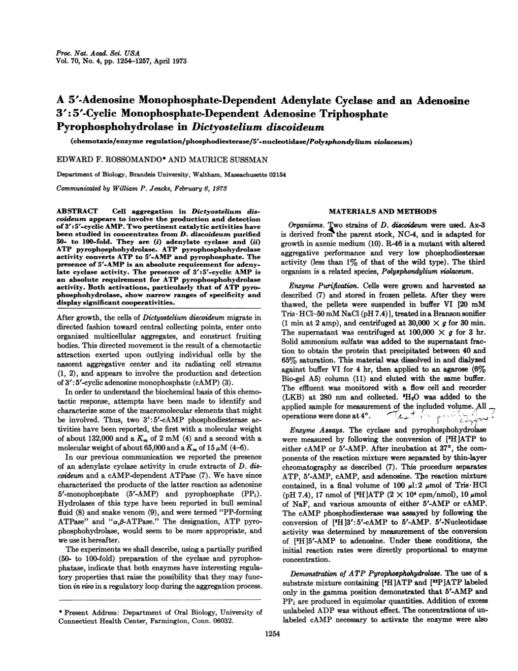 Cyelic Monophosphate-Dependent Adenosine Triphosphate