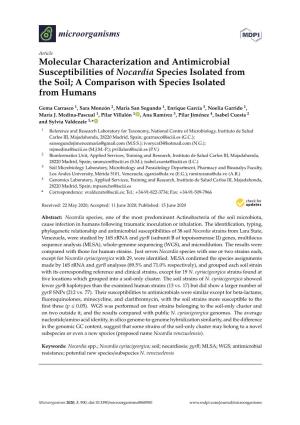 Molecular Characterization and Antimicrobial Susceptibilities of Nocardia Species Isolated from the Soil; a Comparison with Species Isolated from Humans