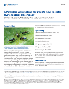 A Parasitoid Wasp Cotesia Congregata (Say) (Insecta: Hymenoptera: Braconidae)1 Christopher D