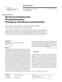 Bacterial and Eukaryotic Phosphoketolases: Phylogeny, Distribution and Evolution