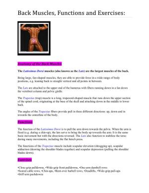 Back Muscles, Functions and Exercises