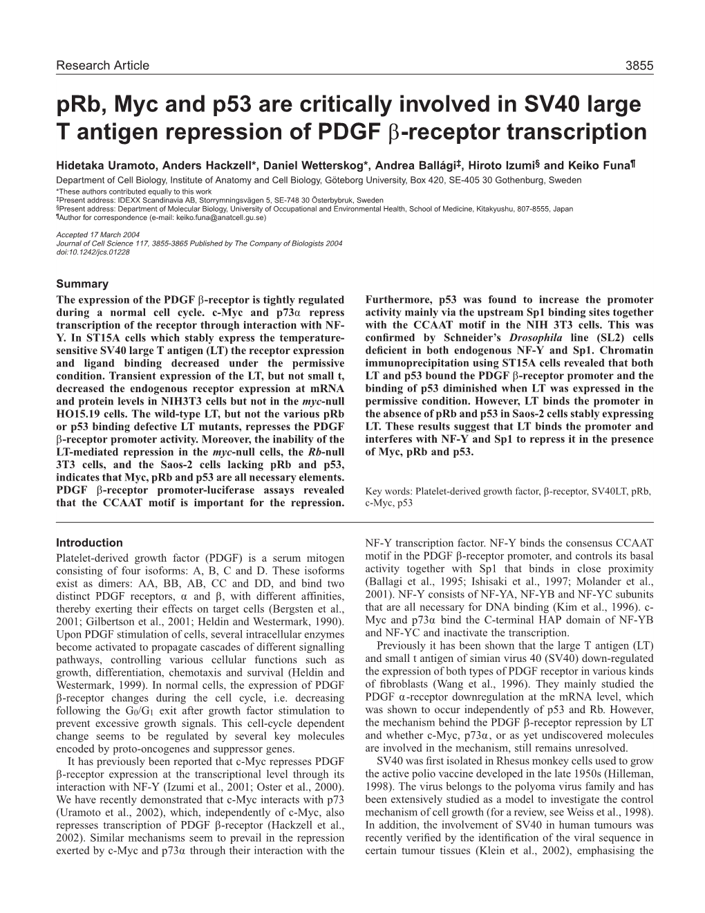Prb, Myc and P53 Are Critically Involved in SV40 Large T Antigen Repression of PDGF Β-Receptor Transcription