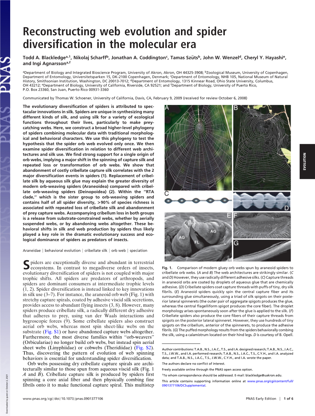 Reconstructing Web Evolution and Spider Diversification in the Molecular Era