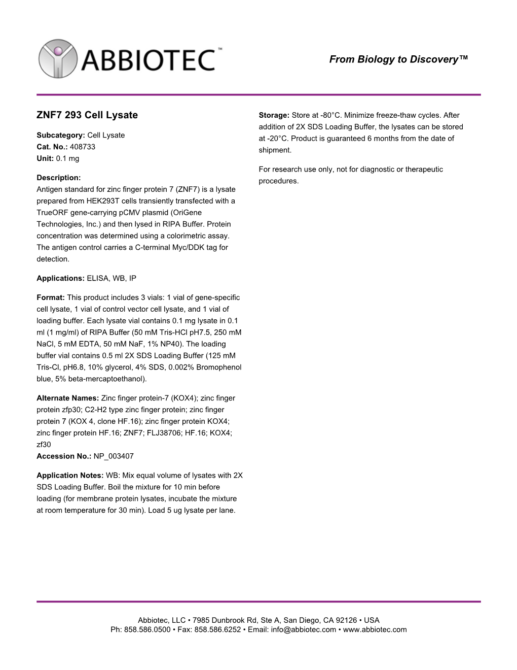 ZNF7 293 Cell Lysate Storage: Store at -80°C