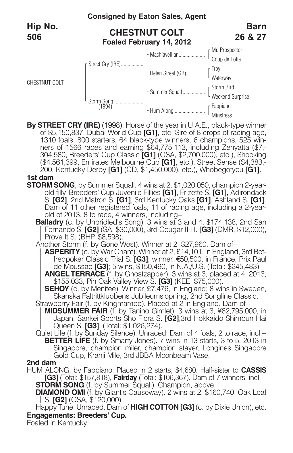 CHESTNUT COLT Barn 26 & 27 Hip No