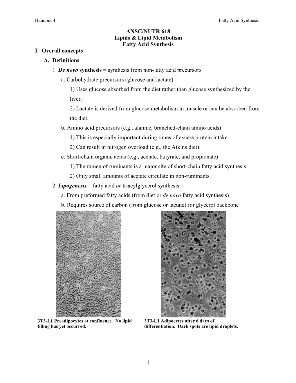 Handout 4 Fatty Acid Synthesis ANSC/NUTR 618 Lipids & Lipid Metabolism Fatty Acid Synthesis I