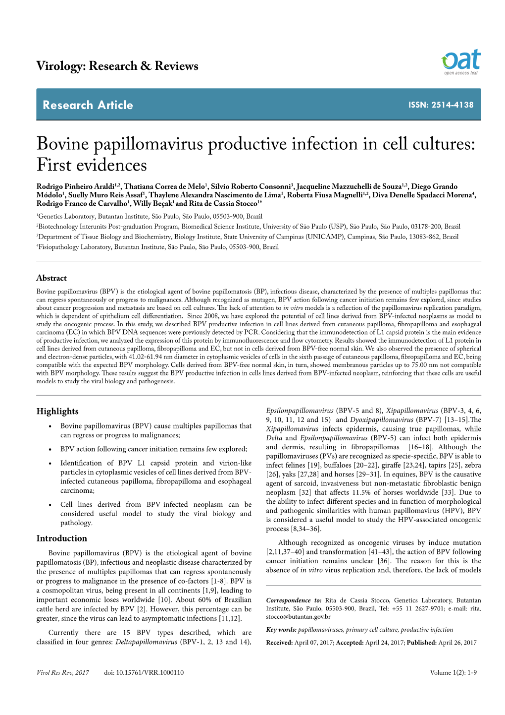 Bovine Papillomavirus Productive Infection in Cell Cultures
