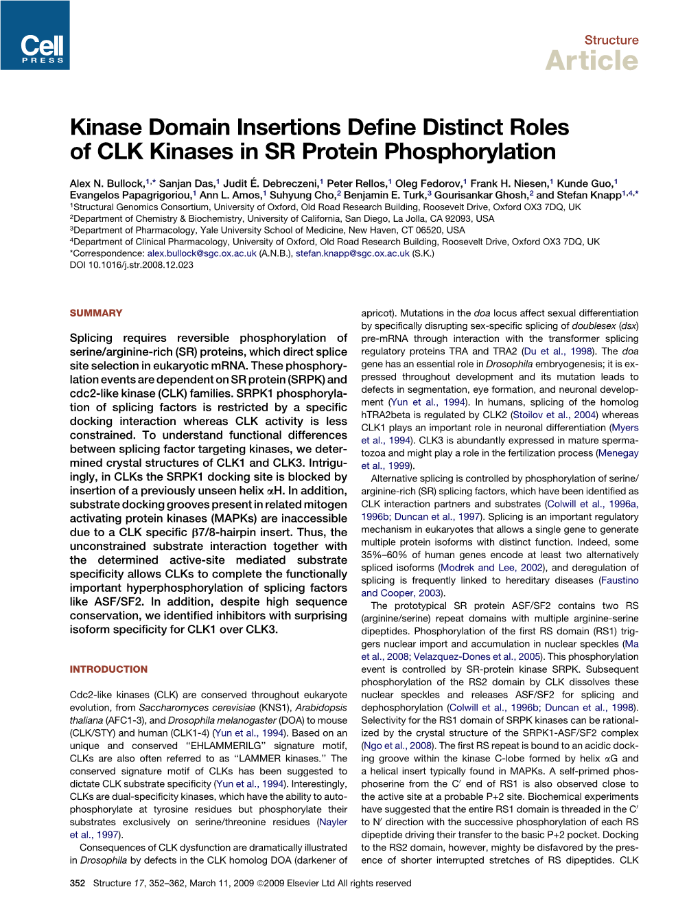 Kinase Domain Insertions Define Distinct Roles of CLK Kinases in SR