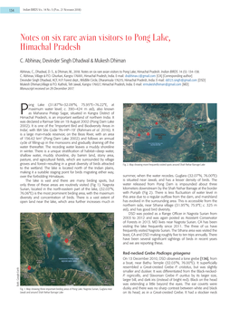 Notes on Six Rare Avian Visitors to Pong Lake, Himachal Pradesh