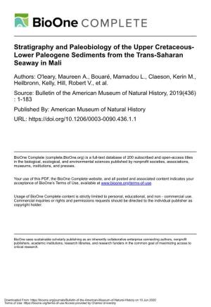 Stratigraphy and Paleobiology of the Upper Cretaceous- Lower Paleogene Sediments from the Trans-Saharan Seaway in Mali