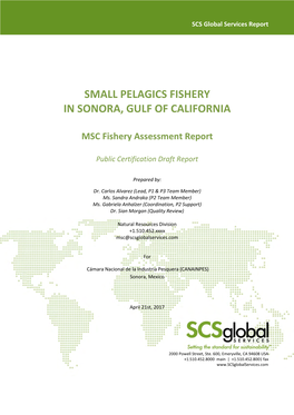Small Pelagics Fishery in Sonora, Gulf of California