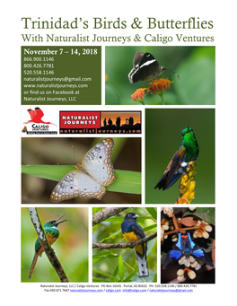 Trinidad's Birds & Butterflies
