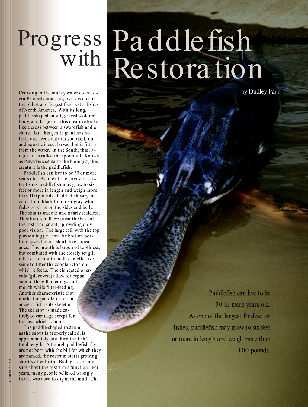 Paddlefish Restoration Plan