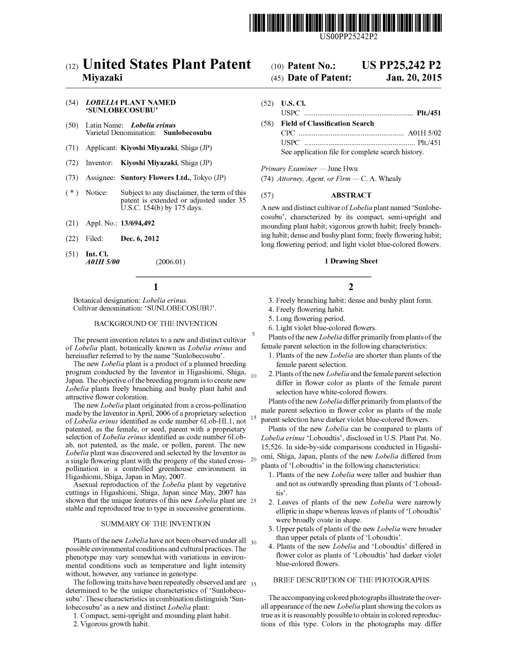 (12) United States Plant Patent (10) Patent No.: US PP25,242 P2 Miyazaki (45) Date of Patent: Jan