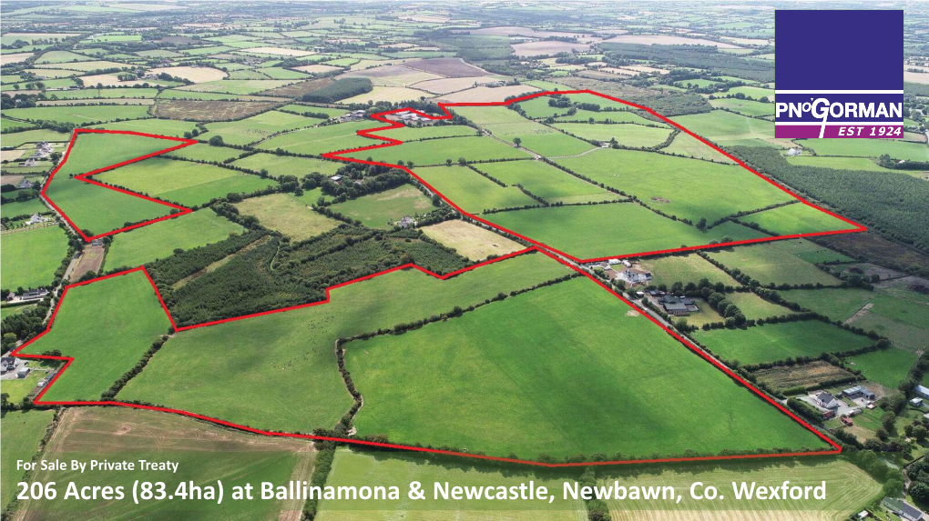 206 Acres (83.4Ha) at Ballinamona & Newcastle, Newbawn, Co. Wexford
