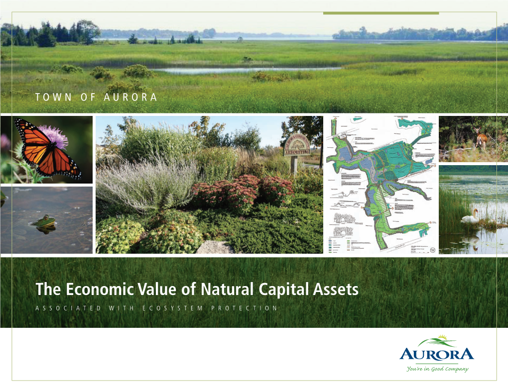 The Economic Value of Natural Capital Assets