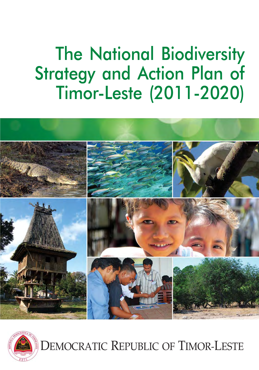 timor leste national education strategic plan