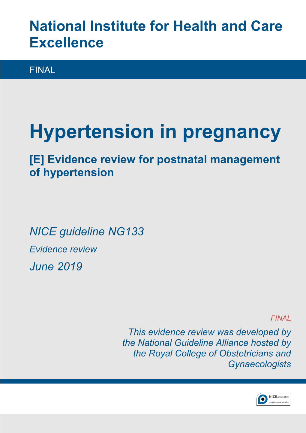 Evidence Review E: Postnatal Management of Hypertension