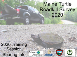 Maine Turtle Roadkill Survey 2020