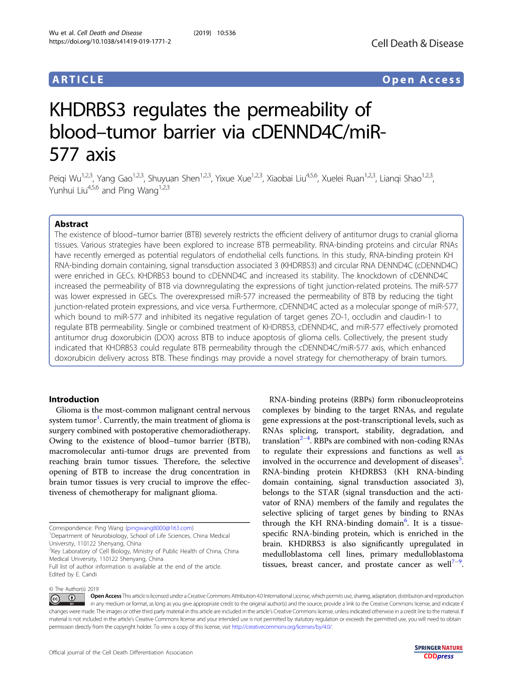 KHDRBS3 Regulates the Permeability of Blood–Tumor Barrier Via