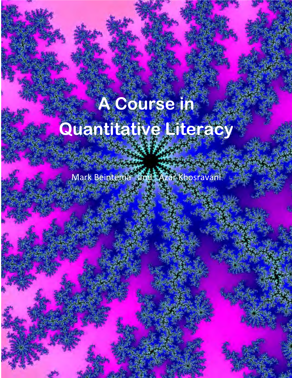 A Course in Quantitative Literacy