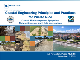 Coastal Engineering Principles and Practices for Puerto Rico Coastal Risk Management Symposium Natural, Structural and Hybrid Interventions