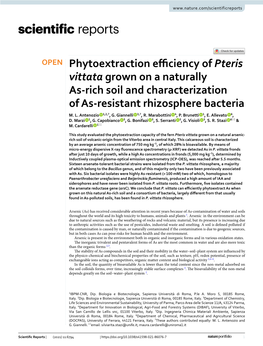 Phytoextraction Efficiency of Pteris Vittata Grown on a Naturally As-Rich Soil and Characterization of As-Resistant Rhizosphere