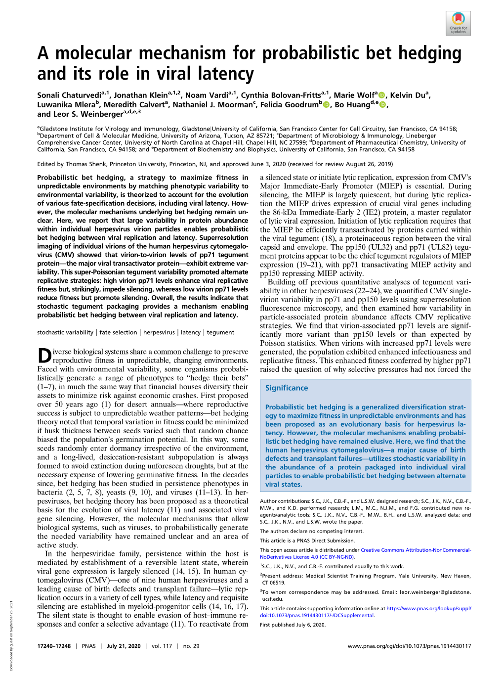 A Molecular Mechanism for Probabilistic Bet Hedging and Its Role in Viral Latency