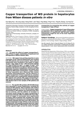 Copper Transportion of WD Protein in Hepatocytes from Wilson Disease Patients in Vitro