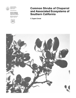 Common Shrubs of Chaparral and Associated Ecosystems of Southern California