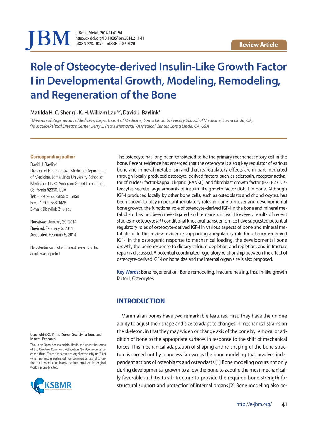 Role of Osteocyte-Derived Insulin-Like Growth Factor I in Developmental Growth, Modeling, Remodeling, and Regeneration of the Bone