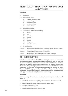 Practical 8 Identification of Fungi and Yeasts