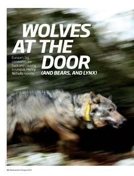 Wolves at the Door (And Bears, and Lynx)