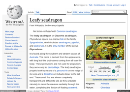 Leafy Seadragon